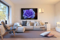 Blaue Rose Regentropfen Leinwandbild / AK Art Bilder / Mehrfarbig + Kunstdruck