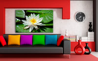 Lotus Weiß Leinwandbild / AK Art Bilder / Mehrfarbig + Kunstdruck XXL Wandbild