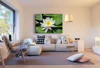 Lotus Weiß Leinwandbild / AK Art Bilder / Mehrfarbig + Kunstdruck XXL Wandbild