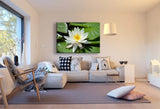 Lotus Weiß Leinwandbild / AK Art Bilder / Mehrfarbig + Kunstdruck XXL Wandbild