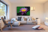 Lotus Violett Leinwandbild / AK Art Bilder / Mehrfarbig Kunstdruck XXL Wandbild