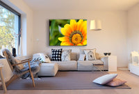 Gelbe Blumen Groß Leinwandbild / AK Art Bilder / Mehrfarbig + Kunstdruck XXL TOP