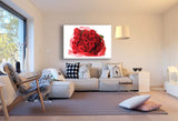Rosen Geschenk Leinwandbild / AK Art Bilder Mehrfarbig Kunstdruck XXL Wandbild