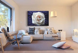 Weiße Rose Groß Leinwandbild /AK Art Bilder Mehrfarbig + Kunstdruck XXL Wandbild
