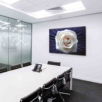 Weiße Rose Groß Leinwandbild /AK Art Bilder Mehrfarbig + Kunstdruck XXL Wandbild