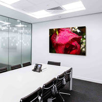 Rose Leinwandbild / AK Art Bilder / Mehrfarbig + Kunstdruck XXL Wandbild Blume