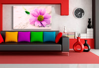 Kosmeya Blume Leinwandbild AK Art Bilder Mehrfarbig Wandbild Kunstdruck TOP XXL