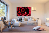 Rote Rose Leinwandbild AK Art Bilder Mehrfarbig Wandbild Kunstdruck TOP XXL
