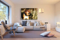 Amerikanische Staffordshire Terrier AK Art Bilder Kunstdruck Leinwandbilder XXL