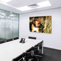 Amerikanische Staffordshire Terrier AK Art Bilder Kunstdruck Leinwandbilder XXL