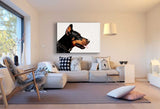 Doberman Hundeportrait AK Art Bilder Premium Kunstdruck Leinwandbilder Top XXL