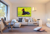 Schöner Doberman auf dem Feld AK Art Bilder| Premium Kunstdruck Made in Germany