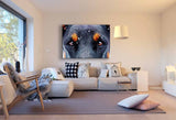 Doberman Augen AK Art Bilder Premium Kunstdruck Made in Germany Top Leinwandbild