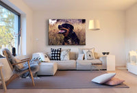 Rottweiler in der Natur Leinwandbild AK Art BilderWanddeko Wandbild Kunstdruck