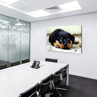 Rottweiler Welpe Einsam Leinwandbild AK Art BIlder Wanddeko Wandbild Kunstdruck