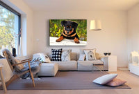 Rottweiler Welpe Leinwandbild AK Art Bilder Wanddeko Wandbild Kunstdruck Top XXL