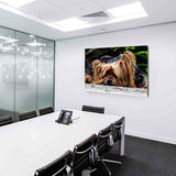Yorkshire Terrier Leinwandbild AK Art Bilder Wanddeko Wandbild Kunstdruck XXL