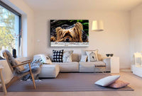 Yorkshire Terrier Leinwandbild AK Art Bilder Wanddeko Wandbild Kunstdruck XXL