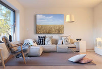 Weizen Feld Himmel Leinwandbild AK Art Bilder Mehrfarbig Kunstdruck Wandbild
