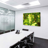 Trauben Grün Rebe Leinwandbild AK Art Bilder Mehrfarbig Kunstdruck Wandbild XXL