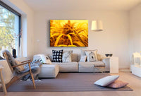 Gelbe Pflanze Leinwandbild AK Art Bilder Mehrfarbig Kunstdruck Wandbild TOP XXL