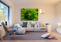 Grüne Pflanze Leinwandbild AK Art Bilder Mehrfarbig Kunstdruck Wandbild TOP XXL