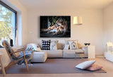 Raubkatze Wild Löwin Leinwandbild AK Art Bilder Mehrfarbig Kunstdruck Wandbild