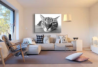 Katze Groß Nah Leinwandbild AK Art Bilder Schwarz Weiß Mehrfarbig Kunstdruck XXL