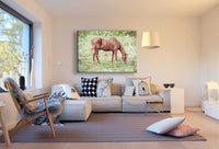 Pferd auf der Wiese Grün Leinwandbild AK Art Bilder Mehrfarbig Kunstdruck XXL