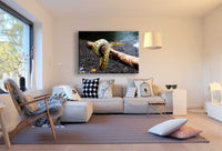 Schlange Leinwandbild AK Art Bilder Mehrfarbig Wandbild Kunstdruck Wanddeko XXL