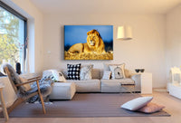 Löwe Leinwandbild AK Art Bilder Mehrfarbig Wandbild Kunstdruck Wanddeko TOP XXL