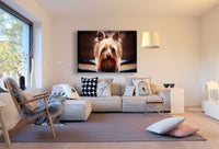 Yorkshire Terrier Leinwandbild AK Art Bilder Mehrfarbig Wandbild Kunstdruck XXL