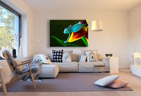 Chamäleon Leinwandbild AK Art Bilder Mehrfarbig Wandbild Kunstdruck Wanddeko XXL
