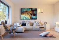 Katze im Bett Leinwandbild AK Art Bilder Mehrfarbig Kunstdruck XXL Wandbild TOP