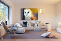 Eule Weiß Gelb Wald Leinwandbild AK Art Bilder Mehrfarbig Kunstdruck XXL TOP
