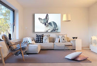 Katze ohne Fell Leinwandbild AK Art Bilder Mehrfarbig Kunstdruck XXL Wandbild
