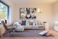 Eichhörnchen Wald Leinwandbild AK Art Bilder Mehrfarbig Kunstdruck XXL Wandbild