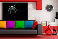 Spinne Spinnennetz Leinwandbild AK ART Kunstdruck Mehrfarbig Wandbild Wanddeko