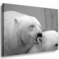 Eisbar Weis Leinwandbild AK Art Bilder Mehrfarbig Kunstdruck XXL Wandbild TOP