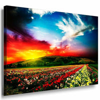 Feld Himmel Leinwandbild LaraArt Bilder Mehrfarbig Wandbild