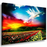 Feld Himmel Leinwandbild LaraArt Bilder Mehrfarbig Wandbild