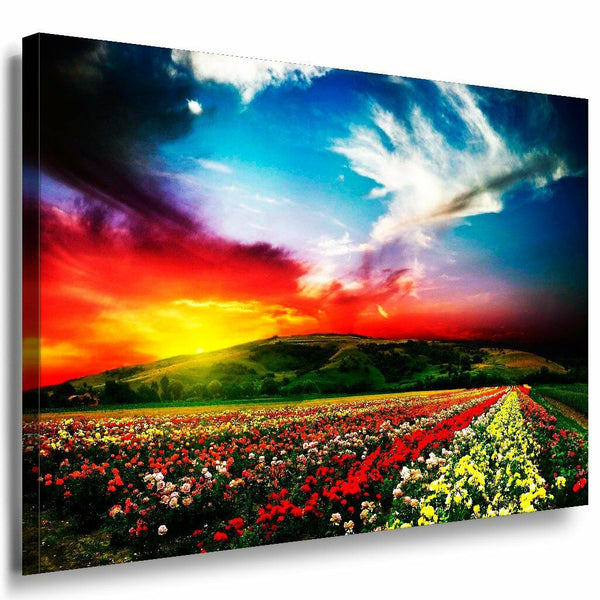 Feld Himmel Leinwandbild LaraArt Bilder Mehrfarbig Wandbild