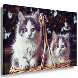 Katzen Weis Leinwandbild AK Art Bilder Mehrfarbig Kunstdruck XXL Wandbild TOP