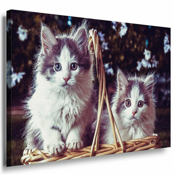 Katzen Weis Leinwandbild AK Art Bilder Mehrfarbig Kunstdruck XXL Wandbild TOP