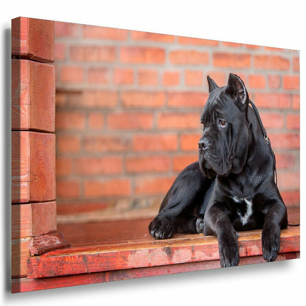 Hund Leinwandbild AK Art Bilder Mehrfarbig Wandbild Kunstdruck Wanddeko TOP XXL