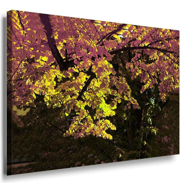 Wald Leinwandbild AK Art Bilder Mehrfarbig Wandbild Kunstdruck Wanddeko TOP XXL 2