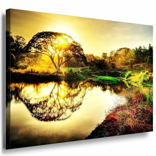 Baum Sonne See Leinwandbild AK Art Bilder Mehrfarbig Wandbild Kunstdruck TOP XXL