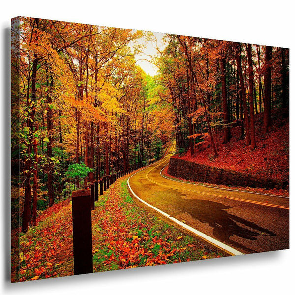 Natur Abstrakt Leinwandbild AK Art Bilder Mehrfarbig Wandbild Kunstdruck XXL 2
