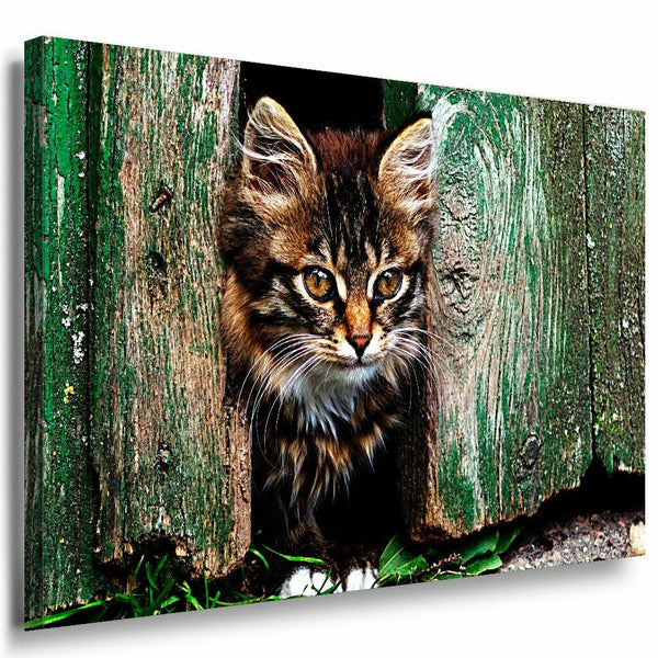 Katze Leinwandbild AK Art Bilder Mehrfarbig Wandbild Kunstdruck Wanddeko TOP XXL 3