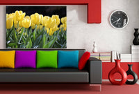 Gelbe Tulben Ostern Leinwandbild AK Art Bilder Wanddeko Wandbild Kunstdruck XXL